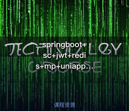 springboot+sc+jwt+redis+mp+uniapp前后端分离购物商城实战项目开发