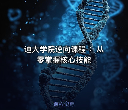 迪大学院逆向课程 ：从零掌握核心技能