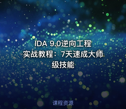 IDA 9.0逆向工程实战教程:7天速成大师级技能