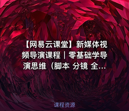【网易云课堂】新媒体视频导演课程｜零基础学导演思维（脚本 分镜 全流程+实战案例）