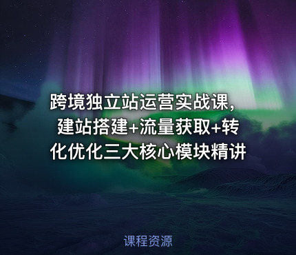 跨境独立站运营实战课，建站搭建+流量获取+转化优化三大核心模块精讲
