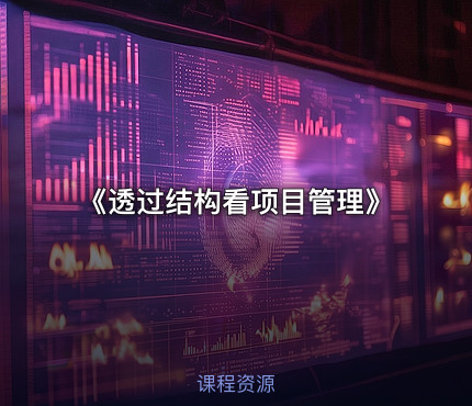 《透过结构看项目管理》