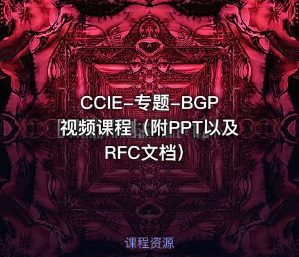 CCIE-专题-BGP视频课程（附PPT以及RFC文档）