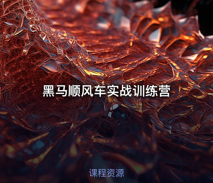 黑马顺风车实战训练营