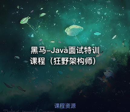 黑马-Java面试特训课程（狂野架构师）