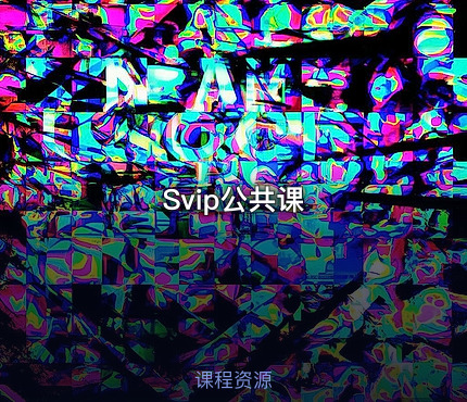 Svip公共课