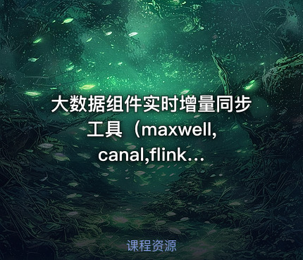 大数据组件实时增量同步工具（maxwell,canal,flinkcdc）