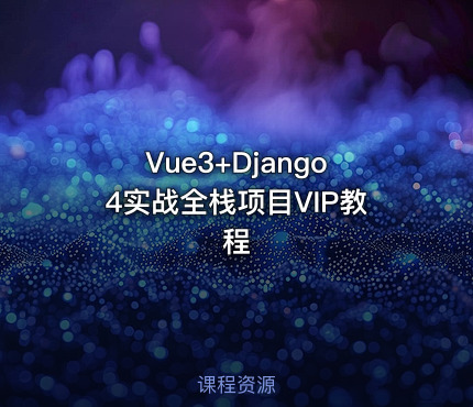 Vue3+Django4实战全栈项目VIP教程