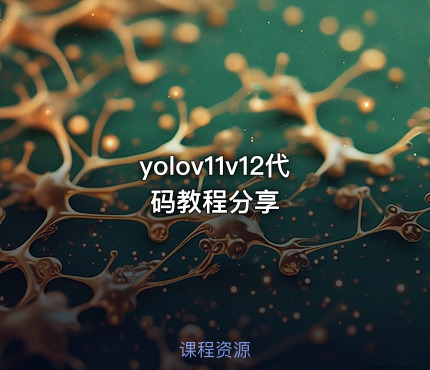 yolov11v12代码教程分享