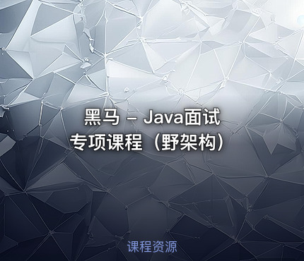 黑马 - Java面试专项课程（野架构）