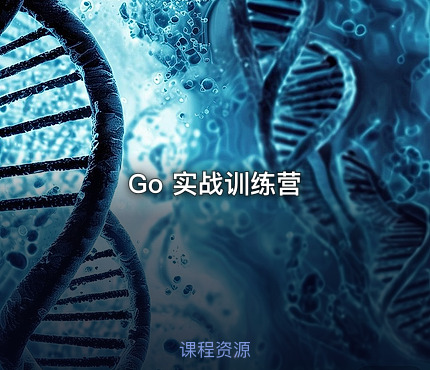 Go 实战训练营
