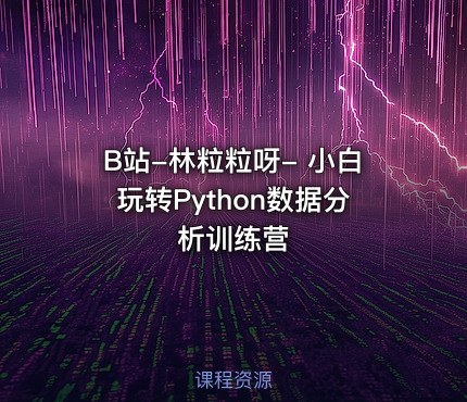 B站-林粒粒呀- 小白玩转Python数据分析训练营