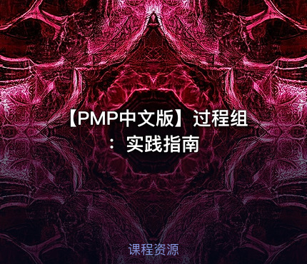 【PMP中文版】过程组：实践指南