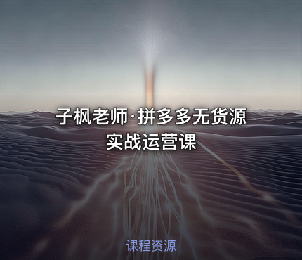 子枫老师·拼多多无货源实战运营课