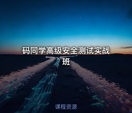 码同学高级安全测试实战班