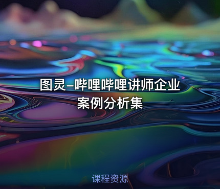 图灵-哔哩哔哩讲师企业案例分析集