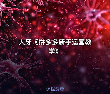大牙《拼多多新手运营教学》