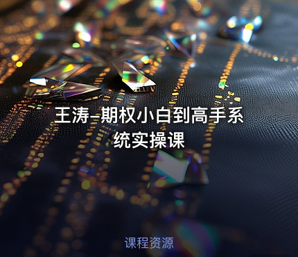 王涛-期权小白到高手系统实操课