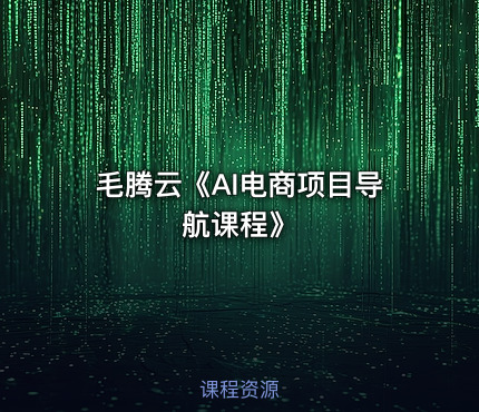 毛腾云《AI电商项目导航课程》