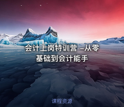 会计上岗特训营 -从零基础到会计能手