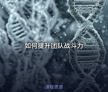 如何提升团队战斗力