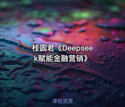 桂圆君《Deepseek赋能金融营销》