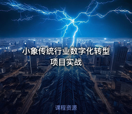 小象传统行业数字化转型项目实战