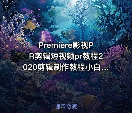 Premiere影视PR剪辑短视频pr教程2020剪辑制作教程小白精通自学课