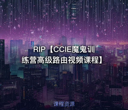 RIP【CCIE魔鬼训练营高级路由视频课程】