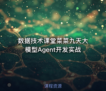 数据技术课堂菜菜九天大模型Agent开发实战
