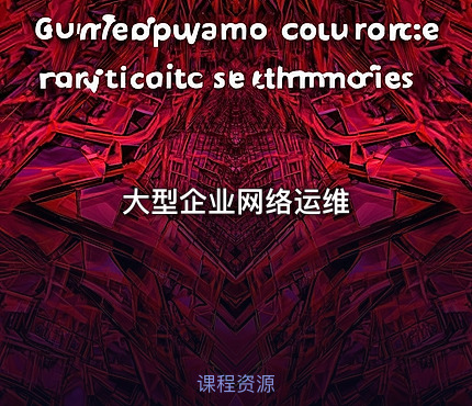 大型企业网络运维