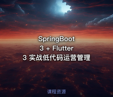SpringBoot 3 + Flutter3 实战低代码运营管理