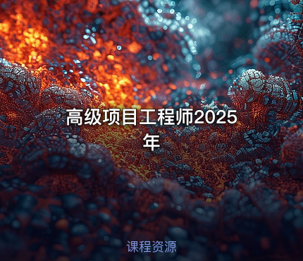 高级项目工程师2025年