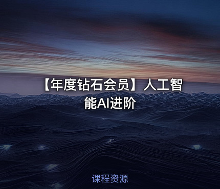 【年度钻石会员】人工智能AI进阶