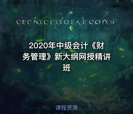 2020年中级会计《财务管理》新大纲网授精讲班