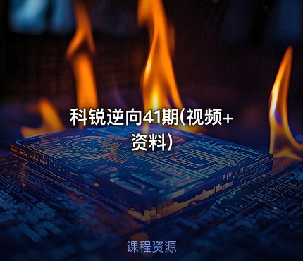 科锐逆向41期(视频+资料)
