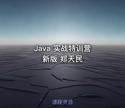 Java 实战特训营 新版 郑天民
