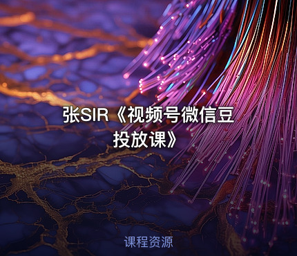 张SIR《视频号微信豆投放课》