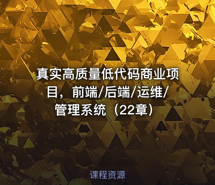 真实高质量低代码商业项目，前端/后端/运维/管理系统（22章）