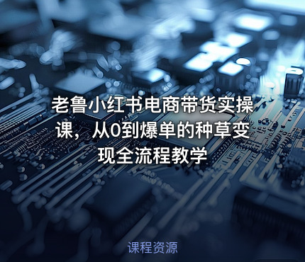 老鲁小红书电商带货实操课，从0到爆单的种草变现全流程教学