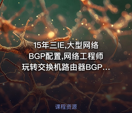 15年三IE,大型网络BGP配置,网络工程师玩转交换机路由器BGP,华为认证HCIP考试认证专题