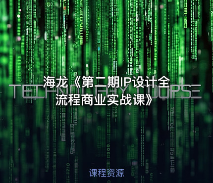 海龙《第二期IP设计全流程商业实战课》