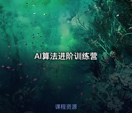 AI算法进阶训练营
