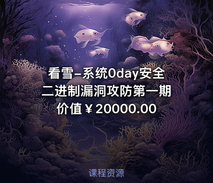看雪-系统0day安全二进制漏洞攻防第一期 价值￥20000.00