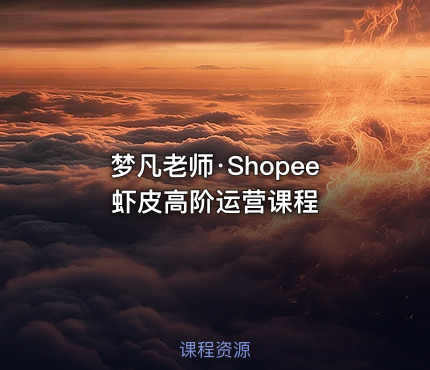 梦凡老师·Shopee虾皮高阶运营课程