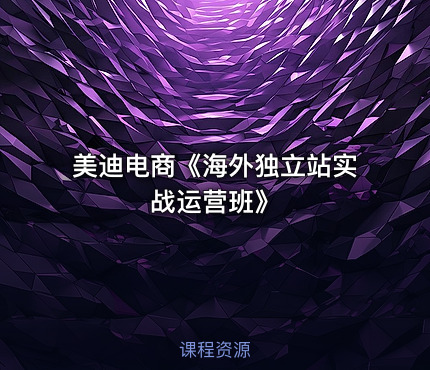 美迪电商《海外独立站实战运营班》