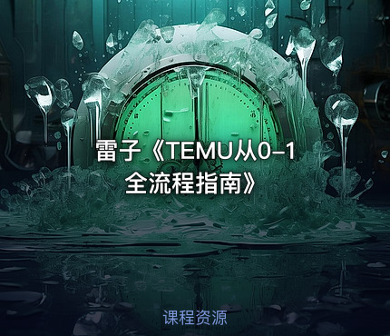 雷子《TEMU从0-1全流程指南》