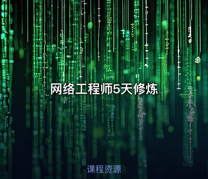 网络工程师5天修炼