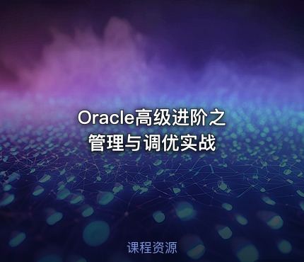 Oracle高级进阶之管理与调优实战
