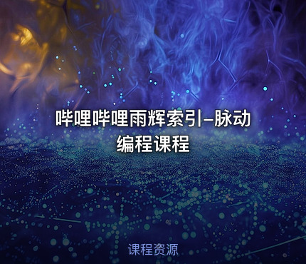 哔哩哔哩雨辉索引-脉动编程课程